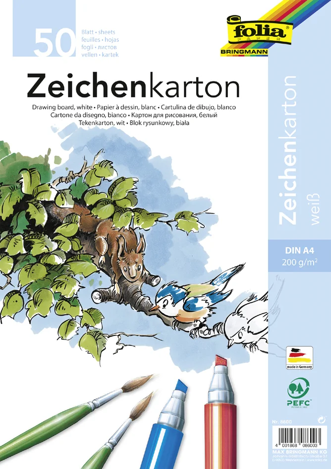 folia Feuille de carton à dessin, A4, 200 g/m2, blanc - OEM 8600