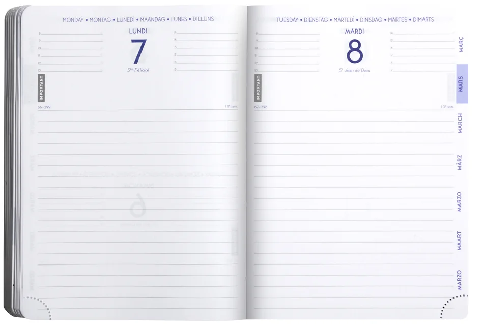 EXACOMPTA Agenda scolaire FORUM, 2026/2027, Chat blanc - OEM 1877824E