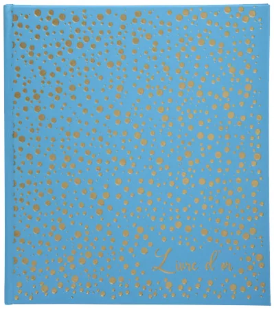 EXACOMPTA Livre d'or Plum, 210 x 190 mm, turquoise / doré - OEM 385E