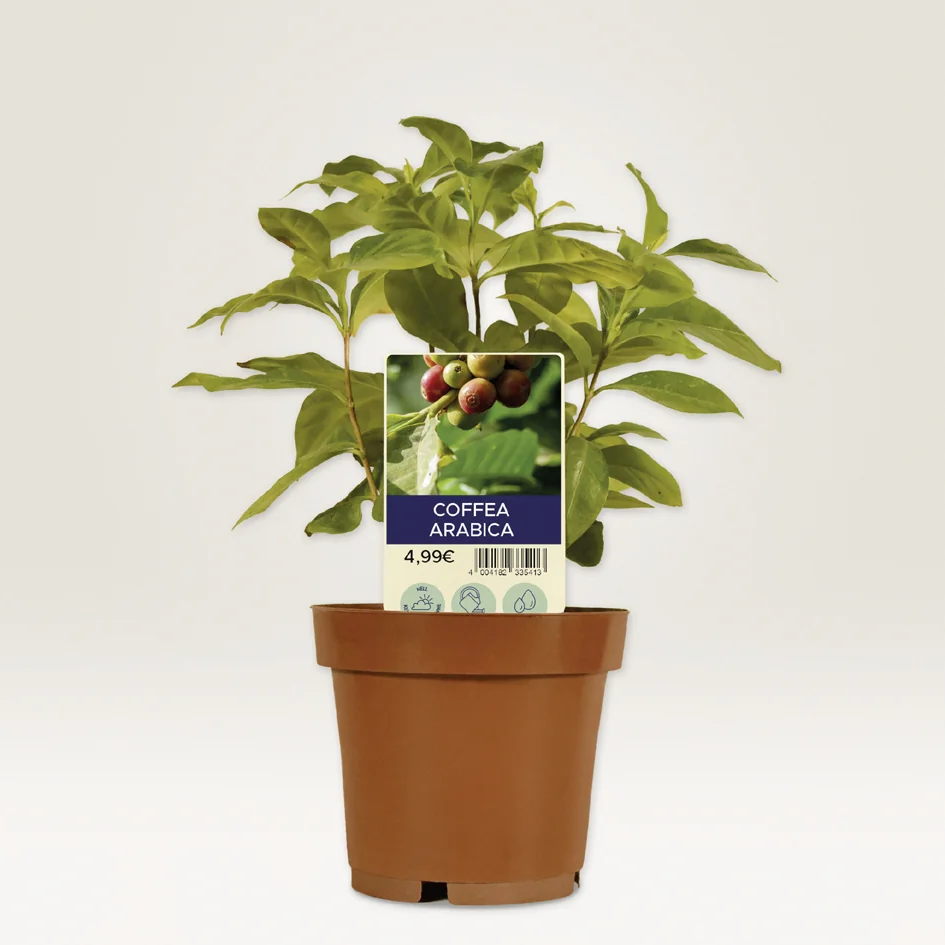 AVERY Zweckform Etiquette à planter, film, 100 x 20 mm - OEM T3005-10