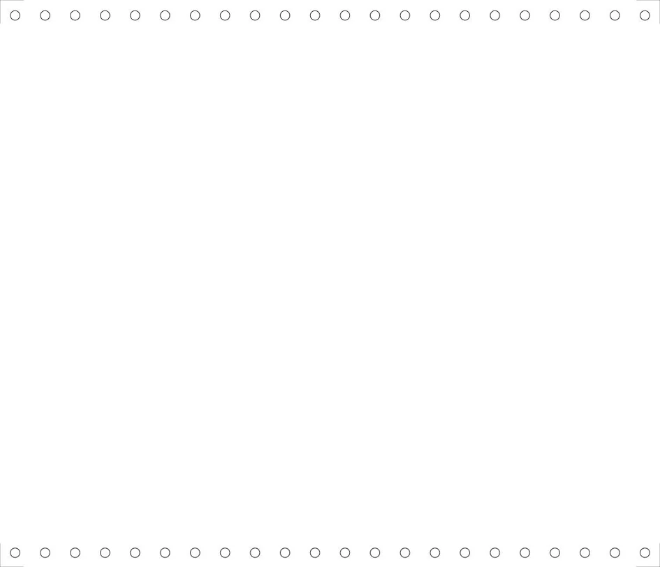 EXACOMPTA Papier listing en continu, 380 mm x 12' (30,48 cm) - OEM 66421E