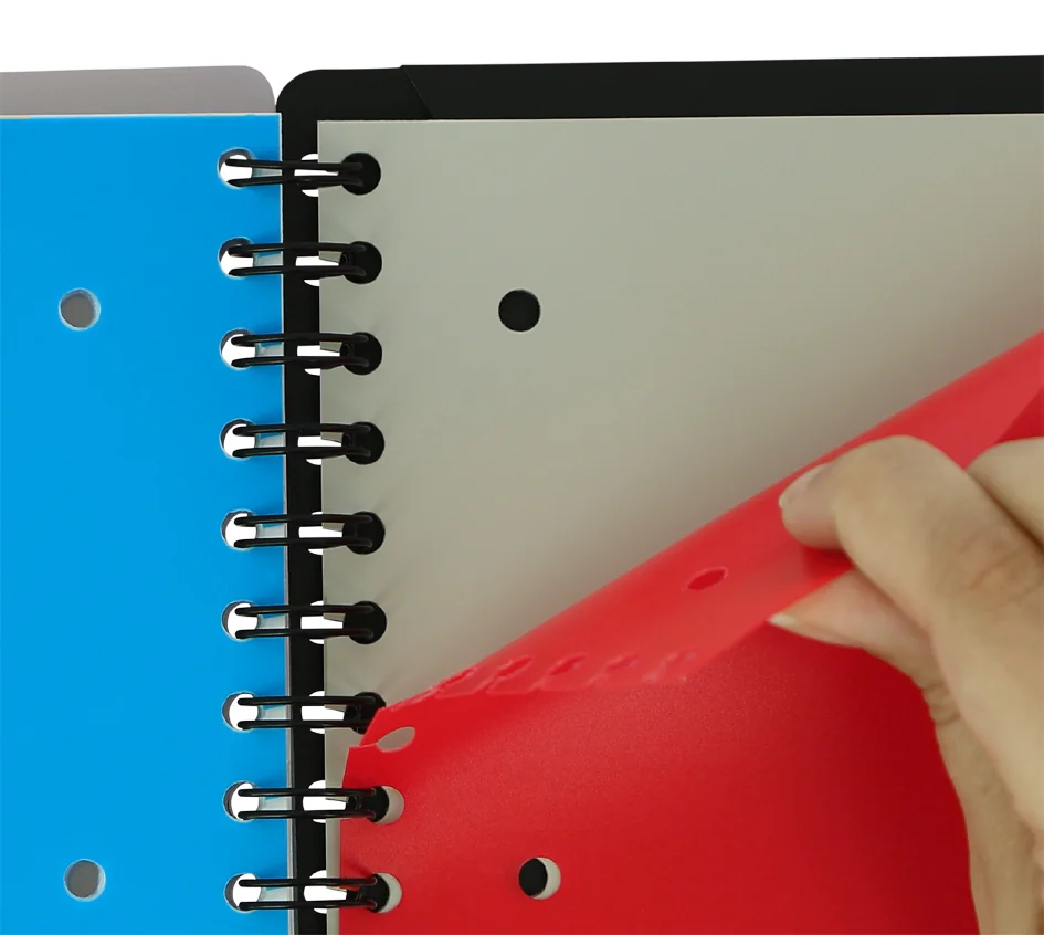 Oxford Etudiants Cahier 'MULTINOTES', A4+, seyès - OEM 400114568