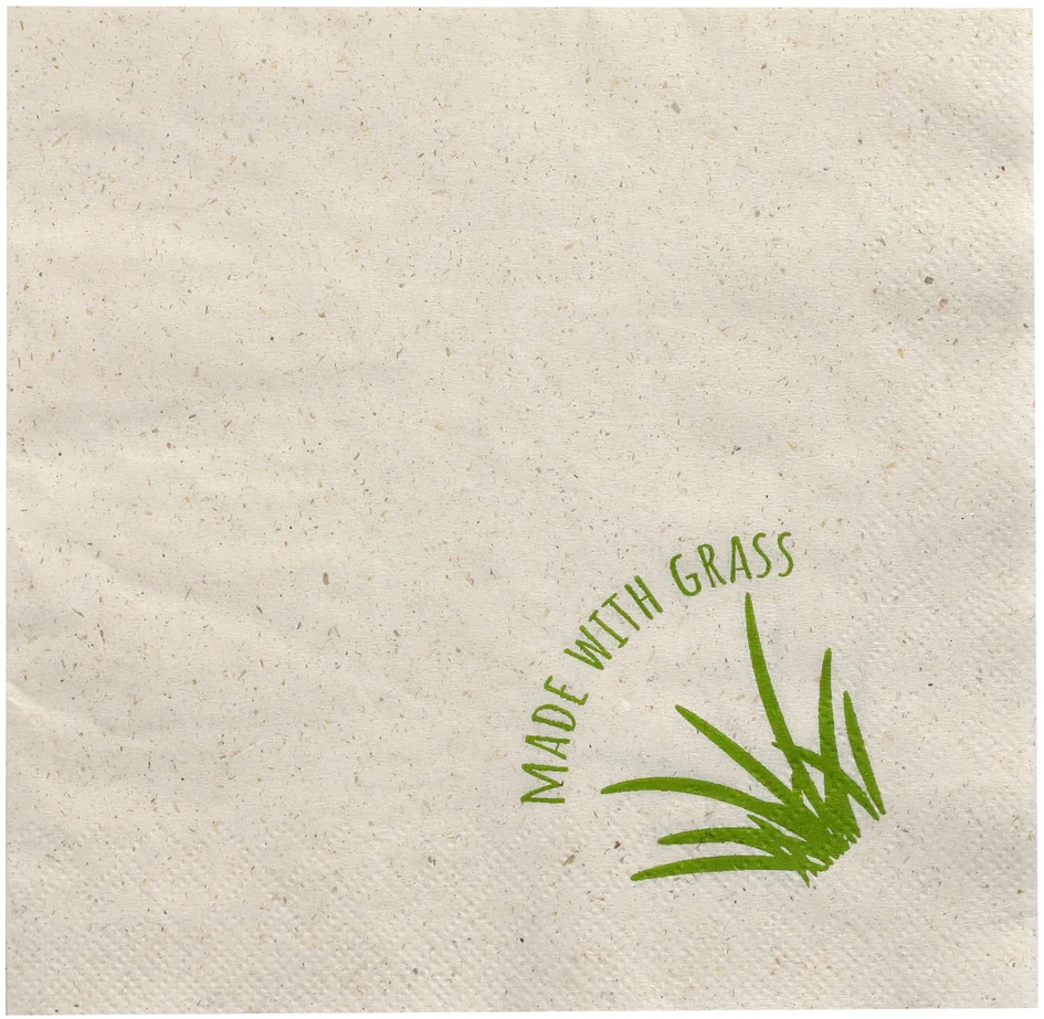 PAPSTAR Serviette de table, 300 x 300 mm, naturel - OEM 89155