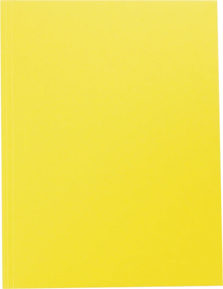 folia Carton à dessin, en carton, A4, lilas - OEM 6628