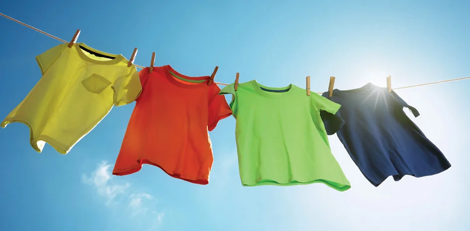 KLEIBER Pince à linge, en bois, longueur: 90 mm - OEM 52409
