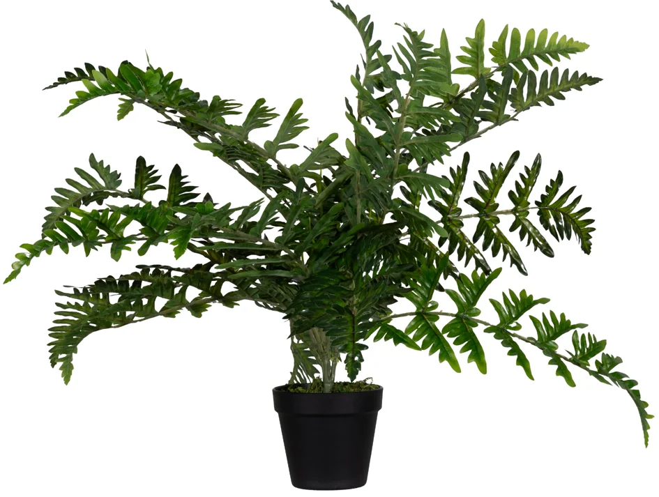 PAPERFLOW Plante artificielle 'fougère', hauteur: 550 mm - OEM PAFOUG55