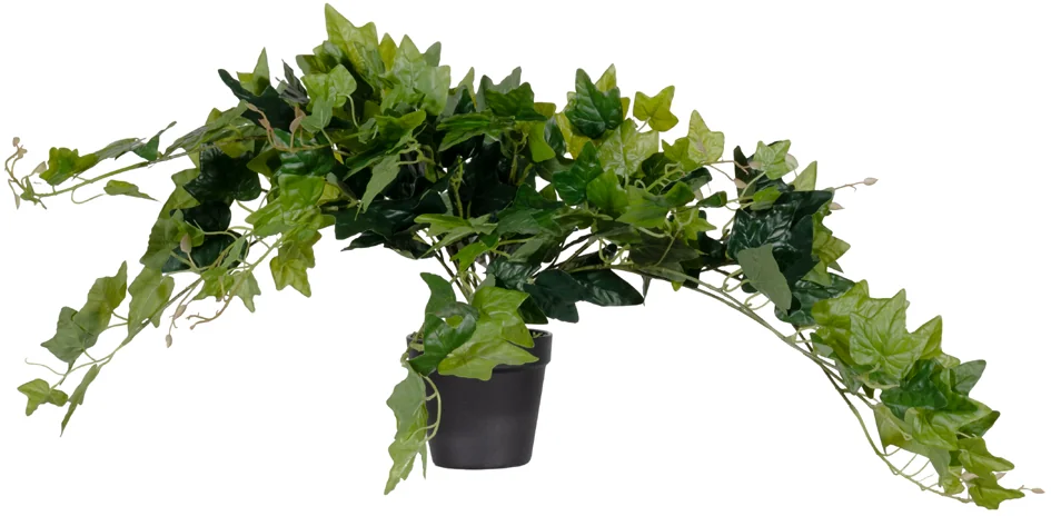 PAPERFLOW Plante artificielle 'lierre', hauteur: 800 mm - OEM PALIER80