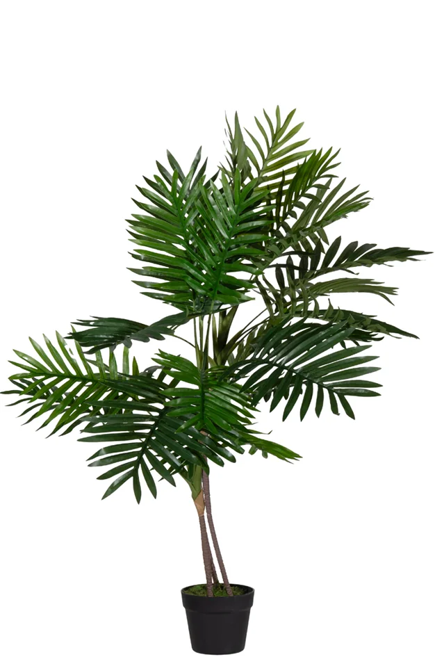 PAPERFLOW Plante artificielle 'palmier', hauteur: 1.600 m - OEM PAPALM160