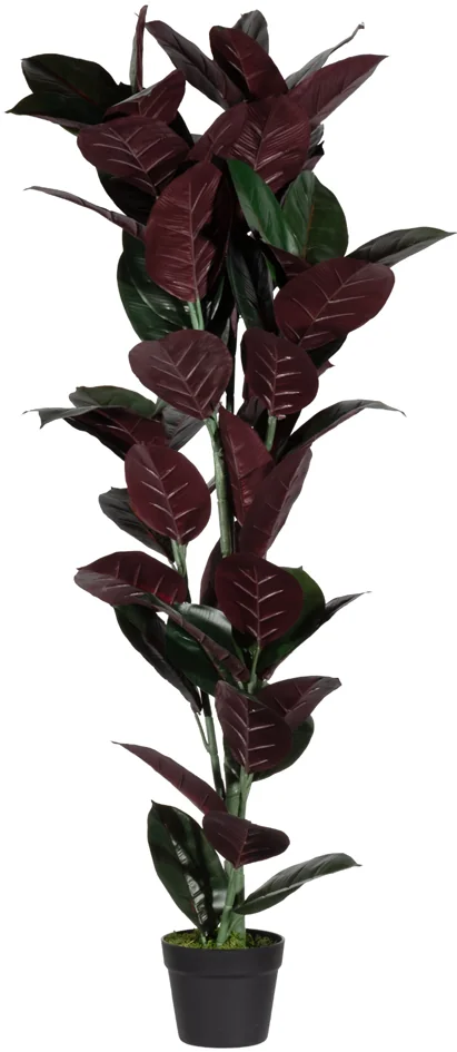 PAPERFLOW Plante artificielle 'caoutchouc', hauteur: 360 mm - OEM PAFICE36