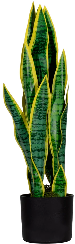 PAPERFLOW Plante artificielle 'sanseviera', hauteur: 650 mm - OEM PASAN65