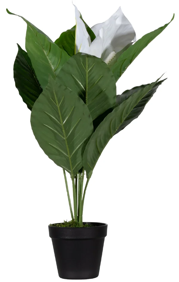 PAPERFLOW Plante artificielle 'fleur de lune', (H)550 mm - OEM PALUNE55