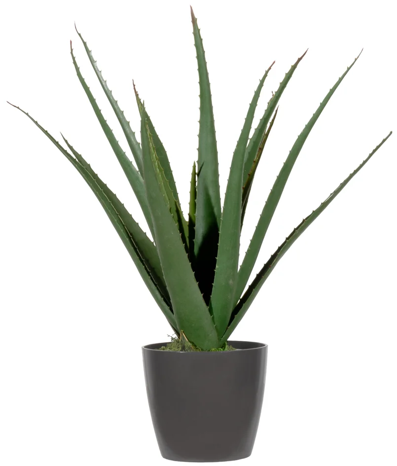 PAPERFLOW Plante artificielle 'aloe vera', hauteur: 450 mm - OEM PAALOE45
