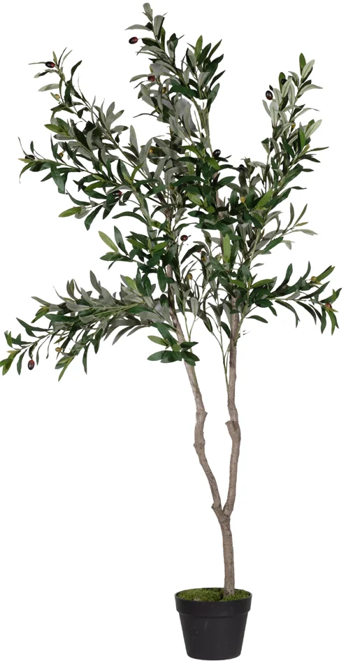 PAPERFLOW Plante artificielle 'olivier', hauteur: 1.550 mm - OEM PAOLI155