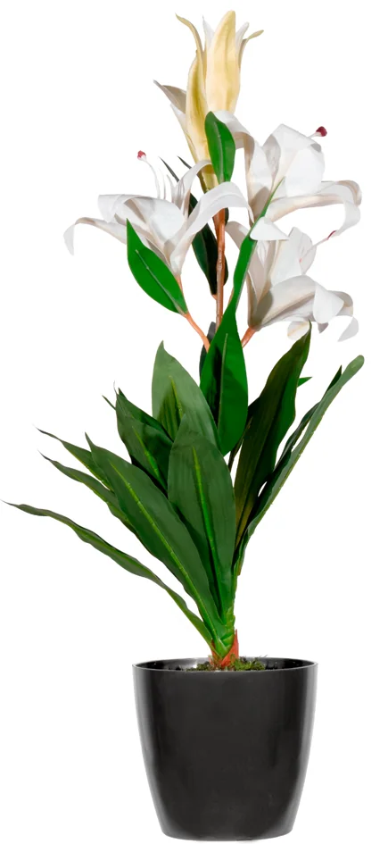 PAPERFLOW Plante artificielle 'fleurs de lys', (H)650 mm - OEM PALYS65