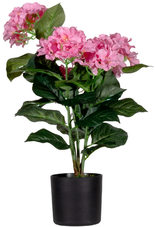 PAPERFLOW Plante artificielle 'hortensia', (H)550 mm, rose - OEM PAHORT55