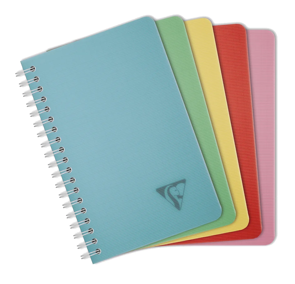 Clairefontaine Carnet reliure intégrale LINICOLOR, 110x170mm - lot de 10 - OEM 327535C