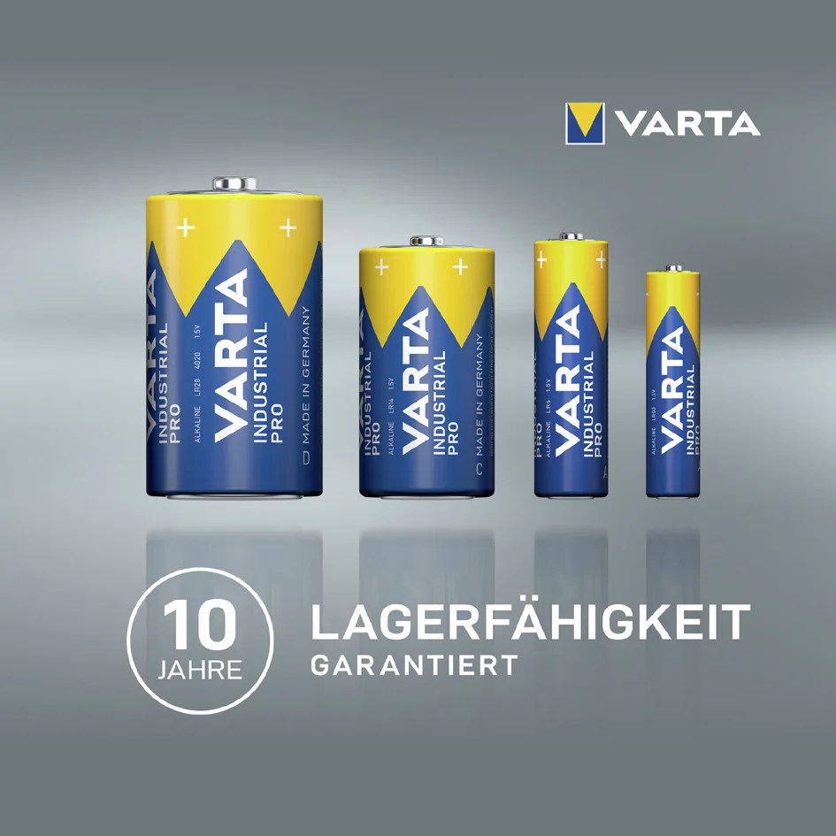 VARTA Pile alcaline 'INDUSTRIAL PRO', Mono (D) - OEM 4020211111